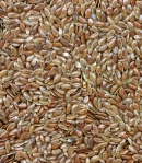 Seeds