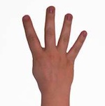 four fingers