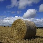 Harvest