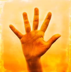 Five fingers