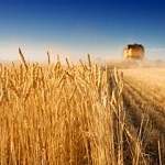 Farming