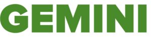 Gemini-Logo-300x75
