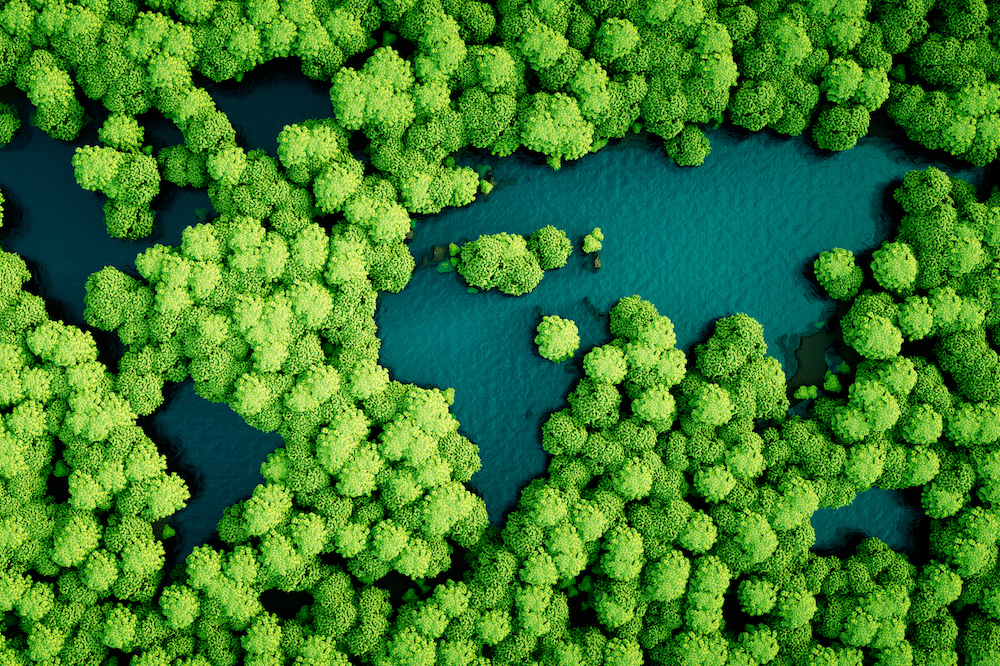Green trees from above