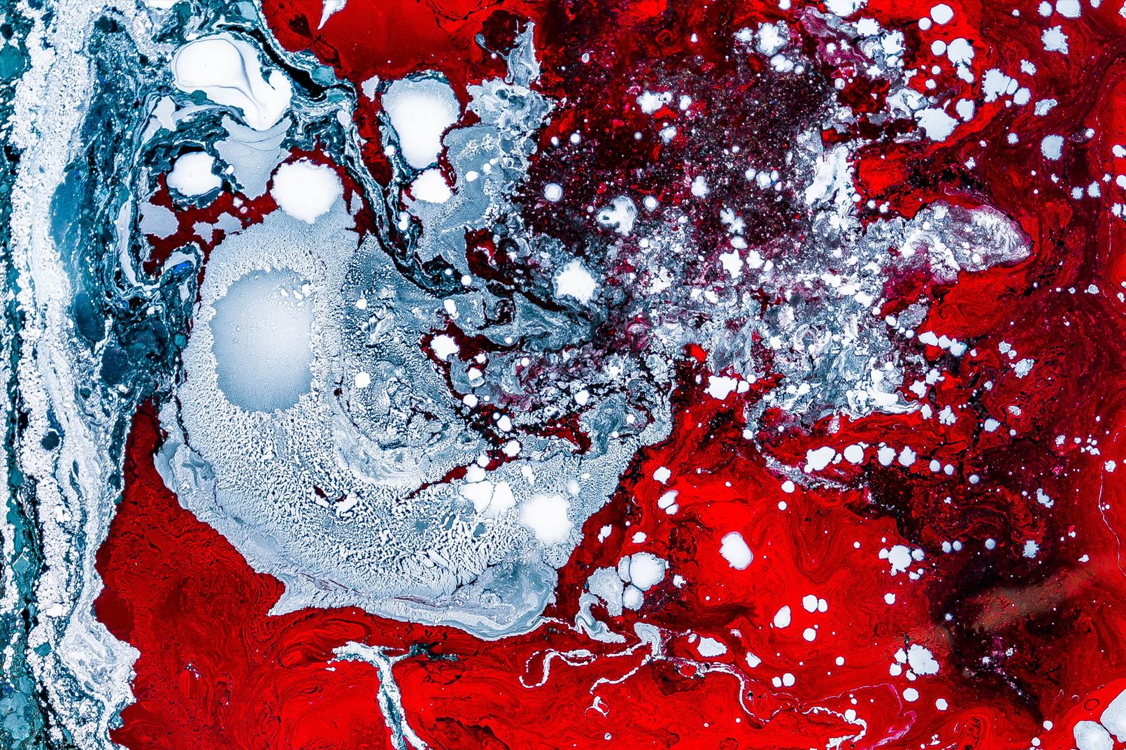 Virus