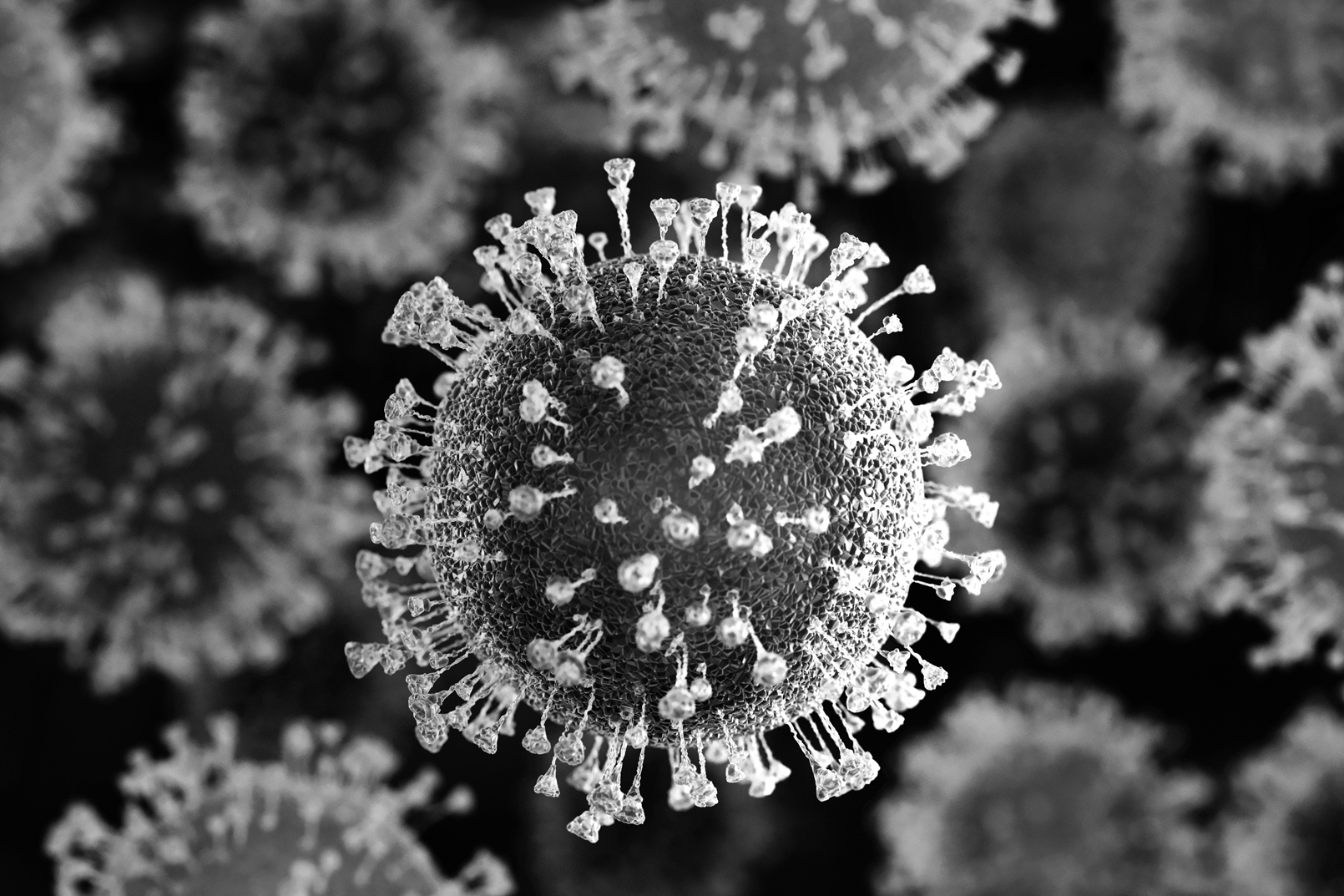 Coronavirus