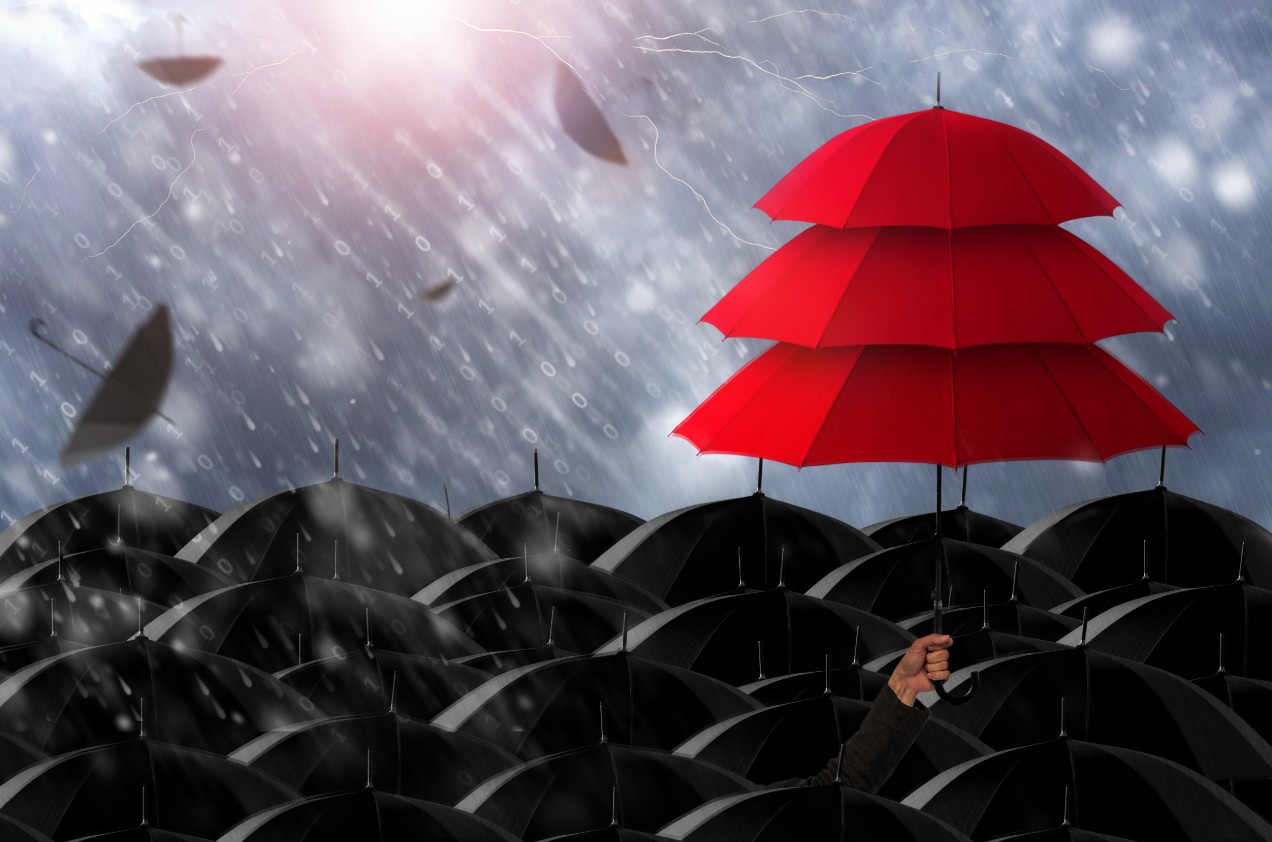 Shelter from a storm
