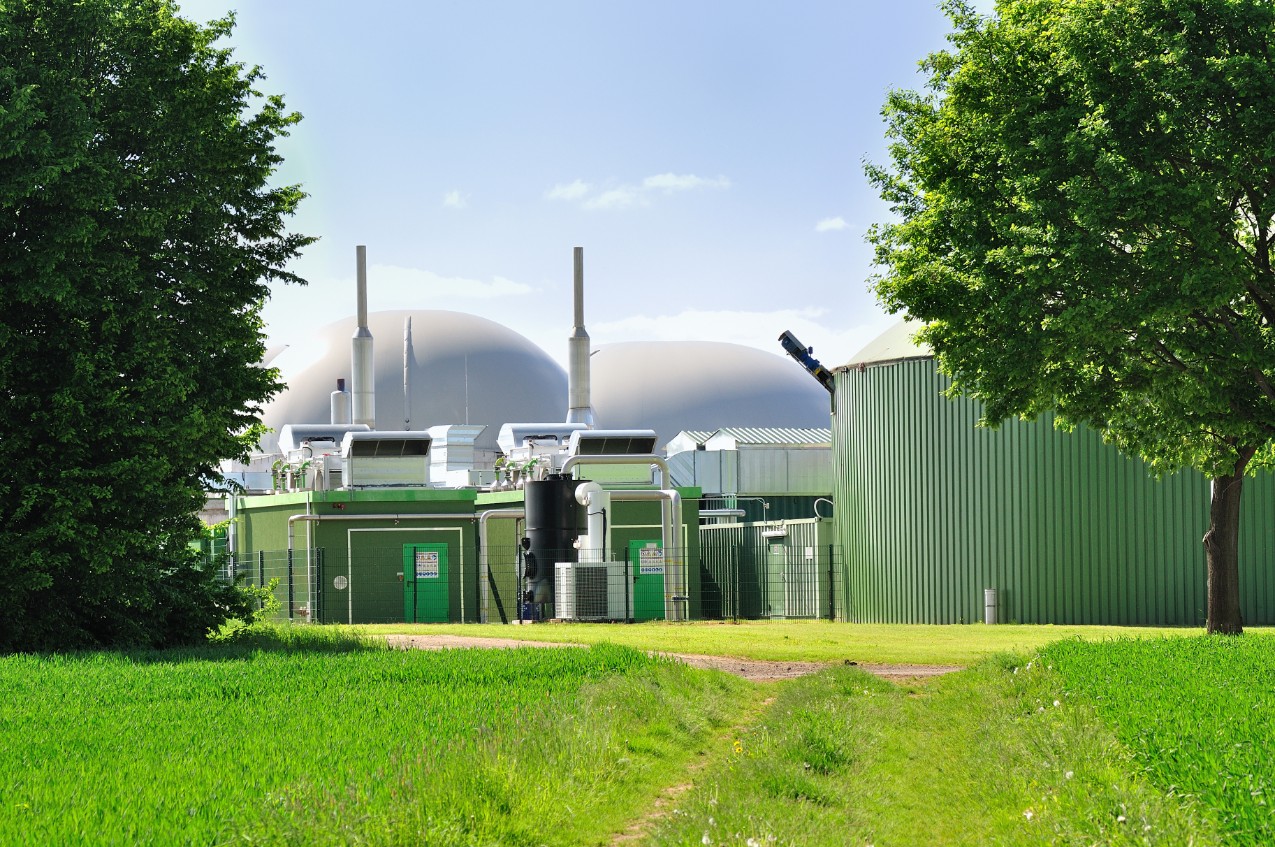 Biomass generator