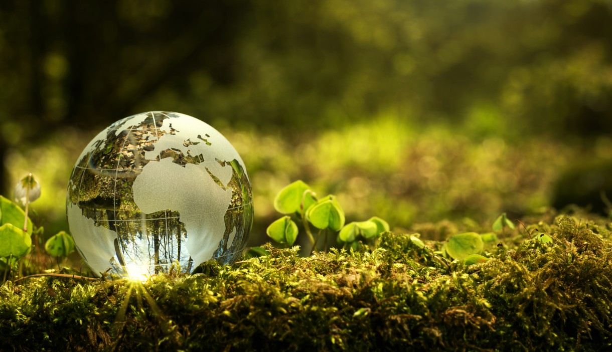 Glass globe
