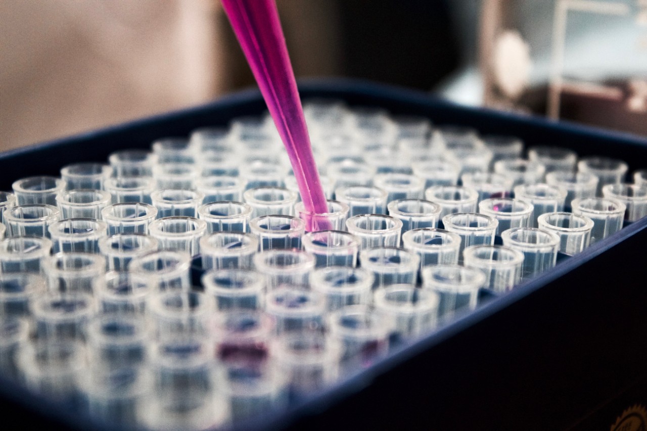Medical testing