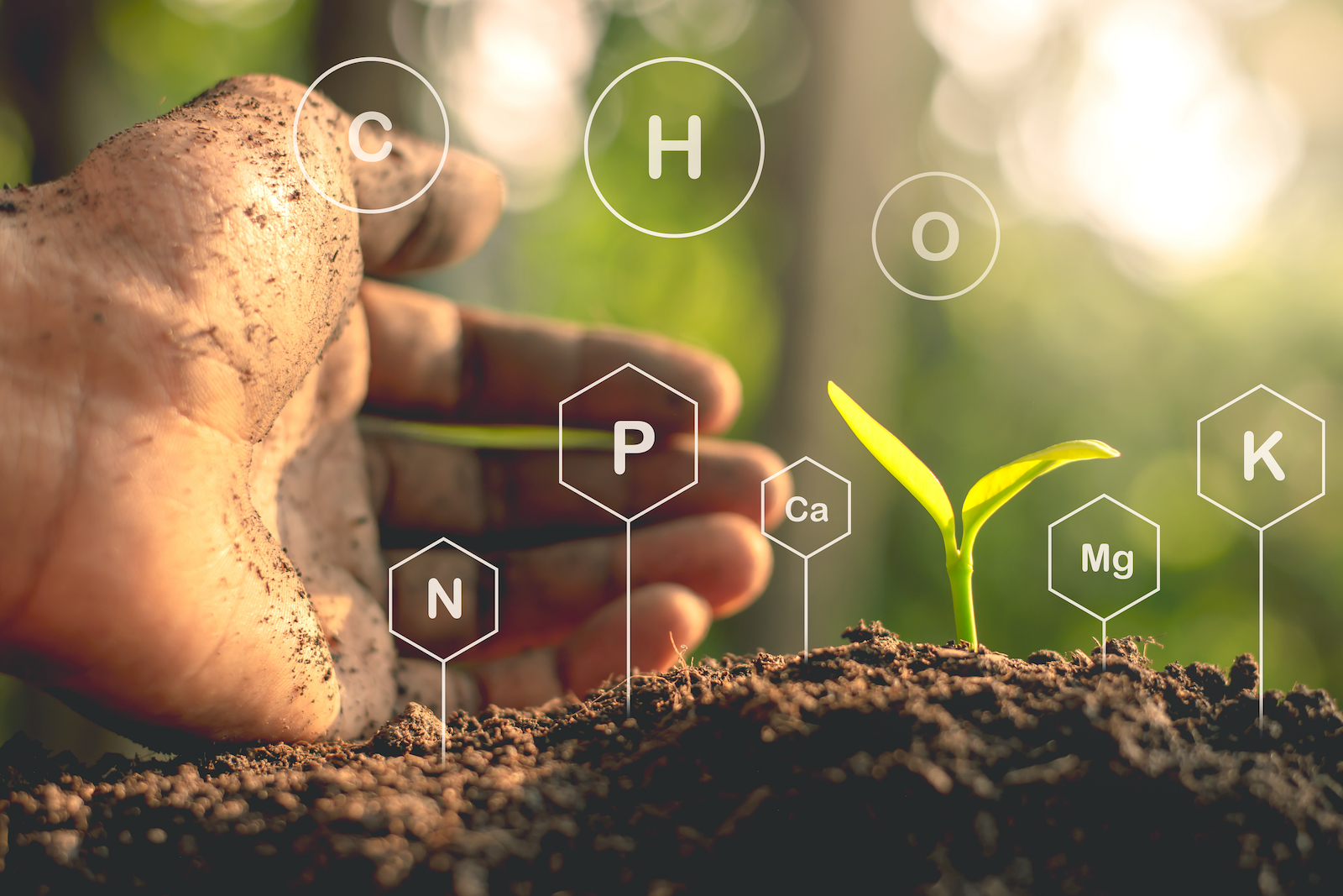 Soil quality