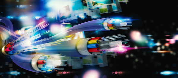 Fibre network