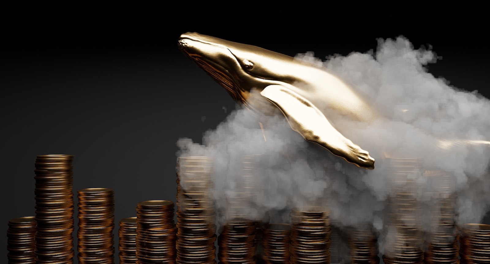 Whale investor