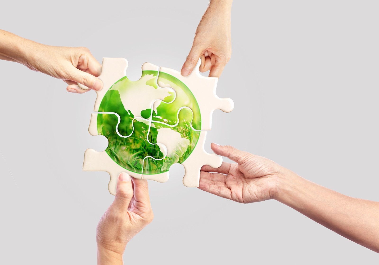 Green globe jigsaw